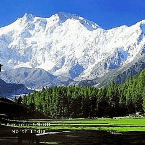 Kashmir